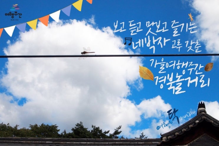  [정보] 가을여행주간 경북놀거리