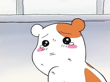 햄스터 에비츄 짤 : 네이버 블로그