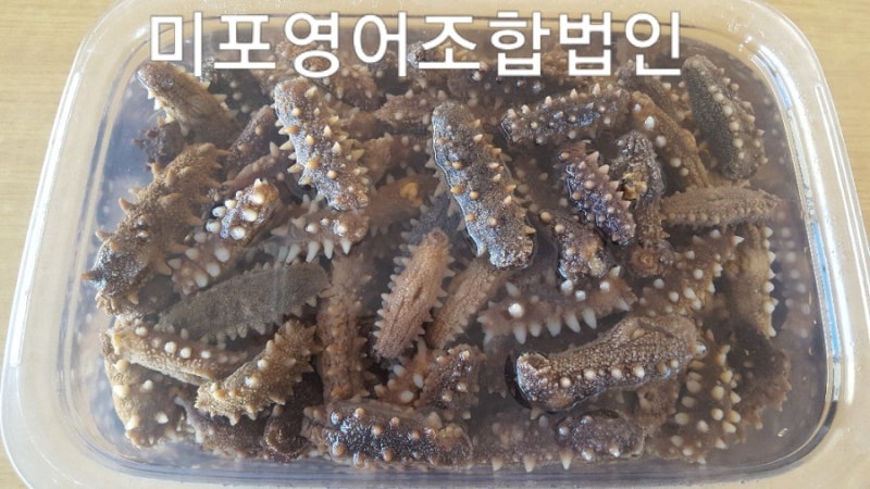 건해삼 불리는법