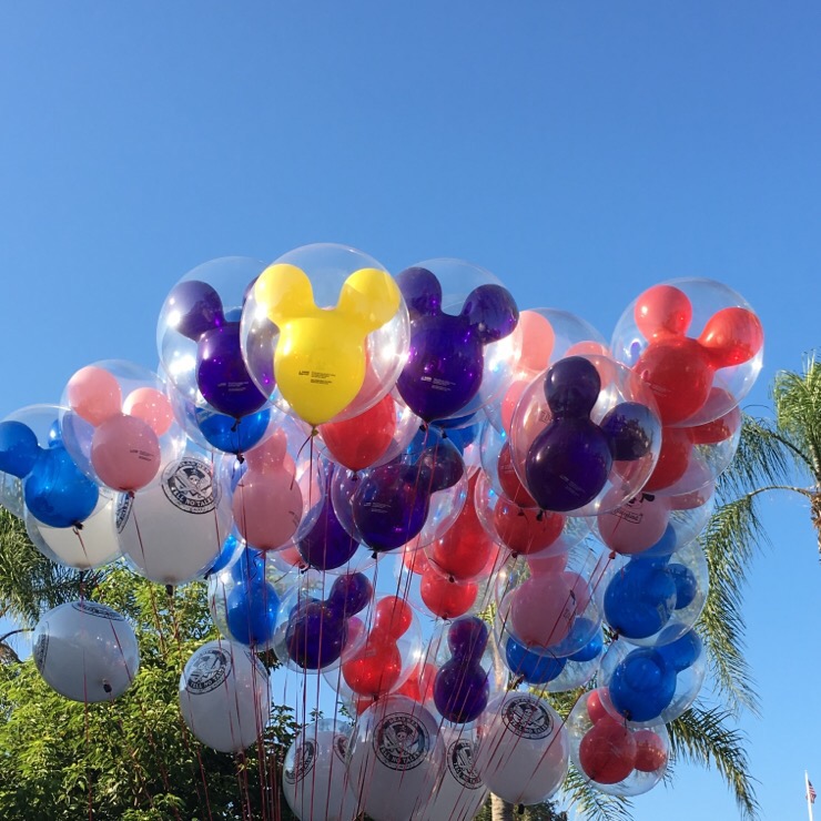  03 : Disneyland