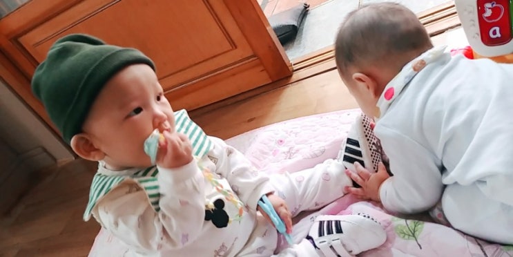  베이비 아디다스 신발탐내기
