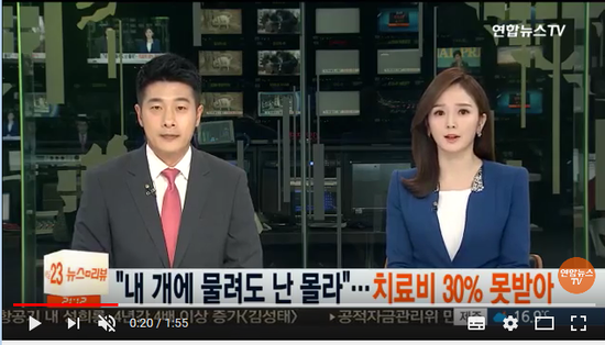 "내 개에 물려도 난 몰라"…치료비 30% 못받아 / 연합뉴스TV (YonhapnewsTV) "내 개에 물려도 난 몰라"…치료비 30% 못받아 / 연합뉴스TV (YonhapnewsTV)