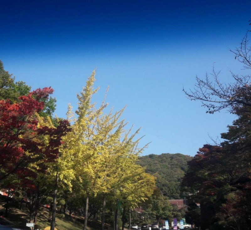 키즈공방/할로윈파티/컵케이크 만들기