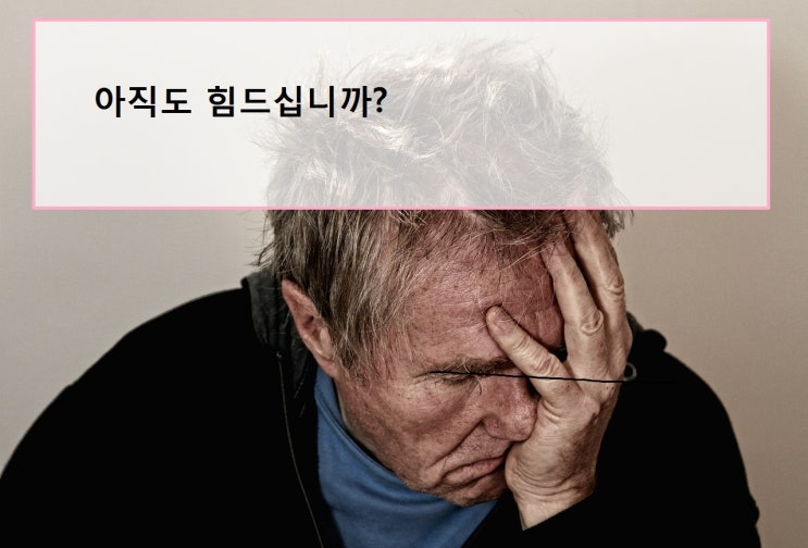 사업자 햇살론