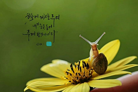 은혜충전소 이미지