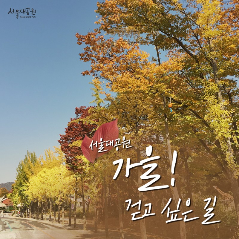 서울대공원 가을! 걷고 싶은 길!! : 네이버 블로그