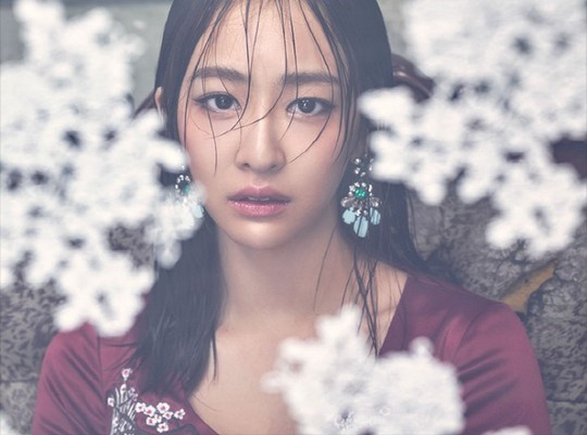  씨스타 다솜 빌딩 건물 재산 수입