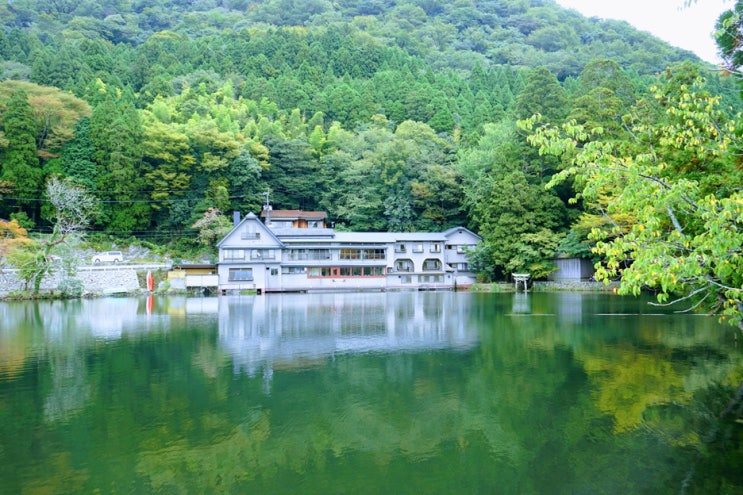  유후인 숙소, 펜션 긴린코 도요노쿠니