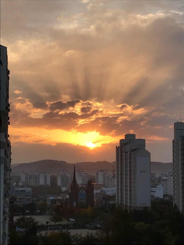  복귀~