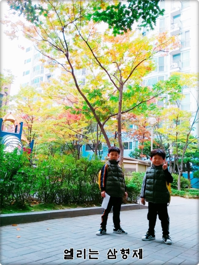 유치원 하원 길!! 가을 나무들과 함께!!