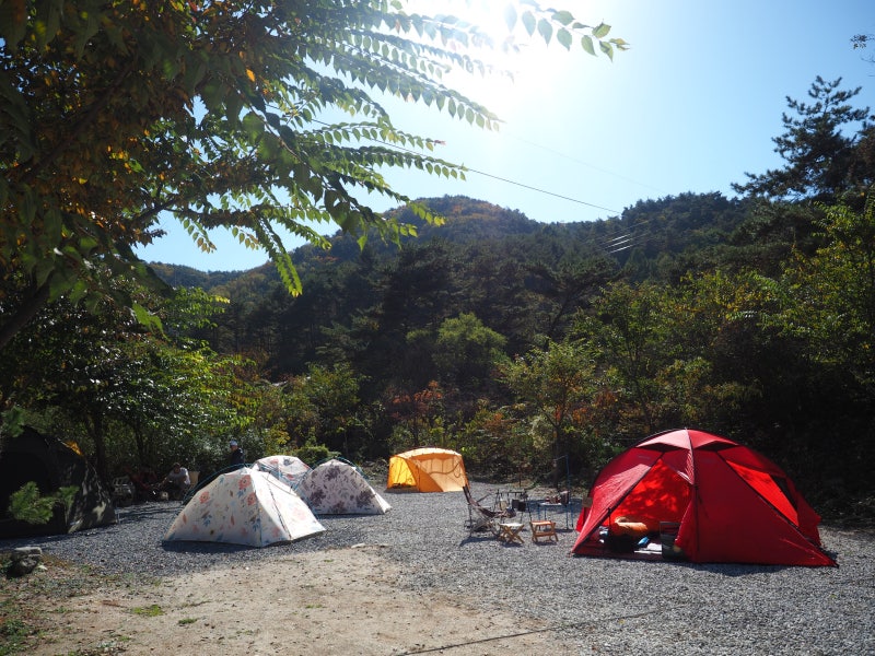 원단의 자부심으로 만드는 더캠퍼(The Camper) 올란드돔과 심플돔 텐트를 소개합니다. : 네이버 블로그