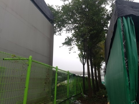  ｀구미시 공단동 회사 조경 벌목 및 정리작업。보림조경