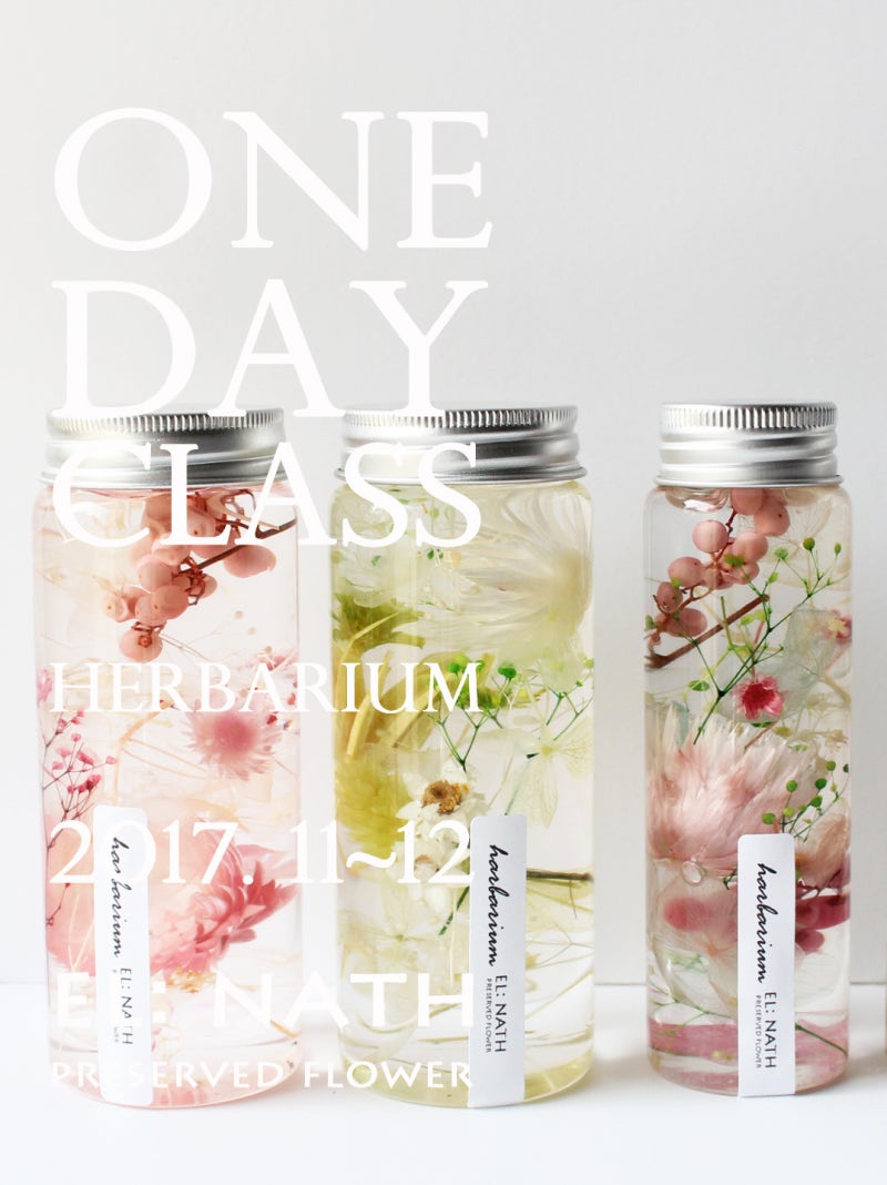 하바리움, 하바플라리움 만들기 원데이 클래스~ : 네이버 블로그