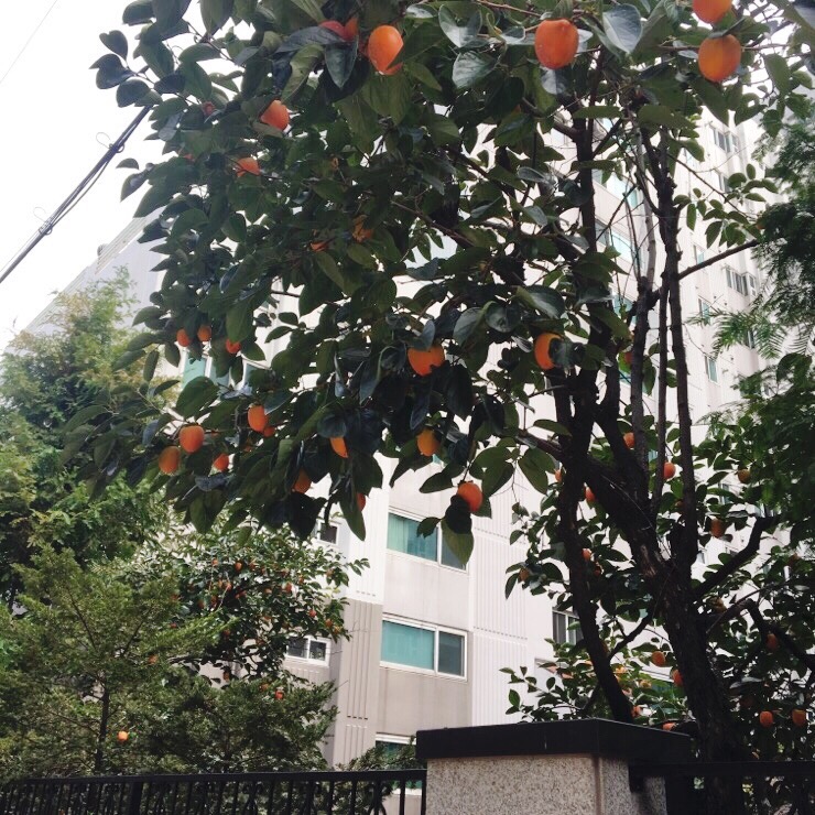  시월의 어느 일상이야기