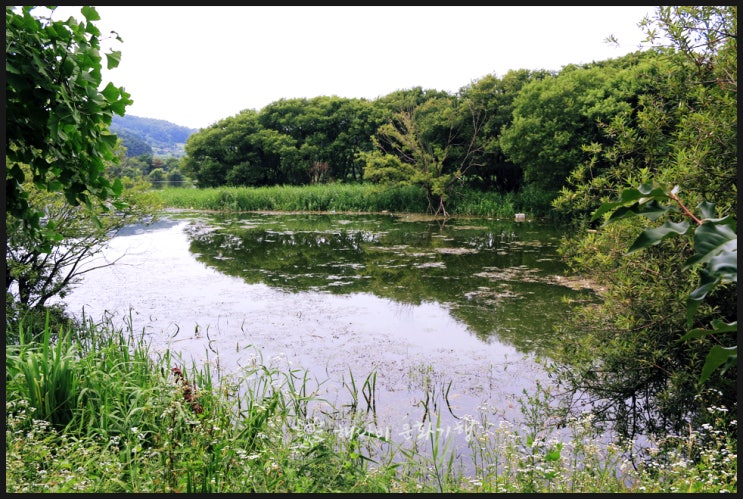  아산 신정호 호수공원, 해다비