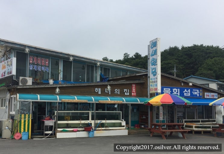  양양맛집) 해녀횟집 섭국먹으러~