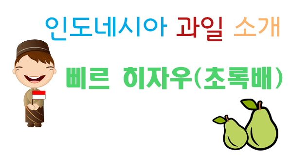  롬복 신혼여행 - 롬복 과일 소개 초록배