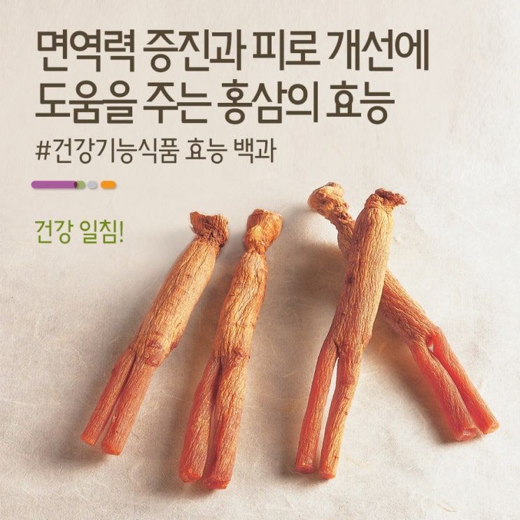 홍삼의 효능. 사포닌. 면역력에 좋습니다 7