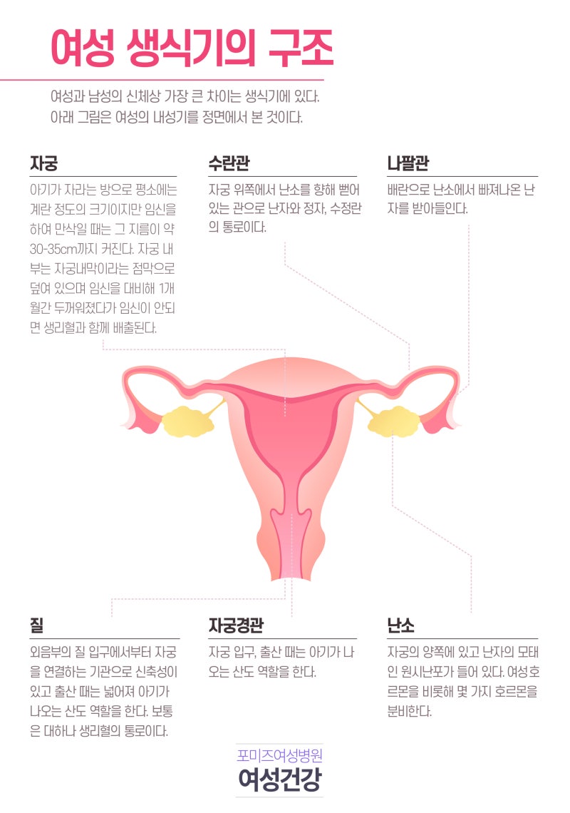STD검사 성병 종류들 : 네이버 블로그, image size:800x1140