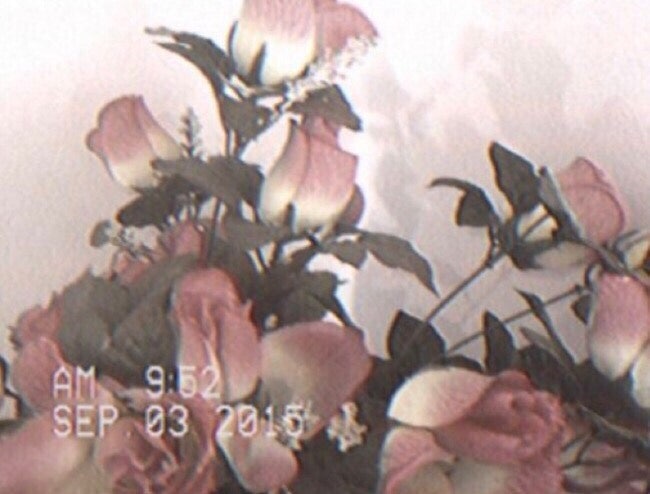 김용택 시 모음 2 (+ 봄봄봄 그리고 봄)