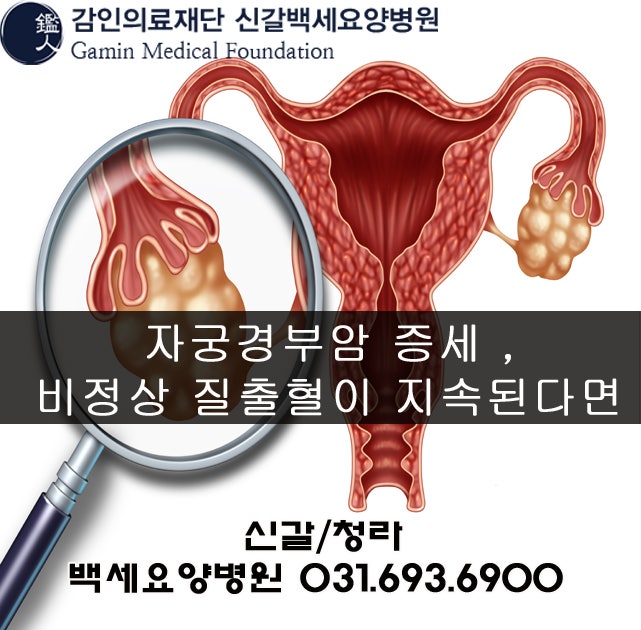 자궁경부암 증세 , 비정상 질출혈이 지속된다면