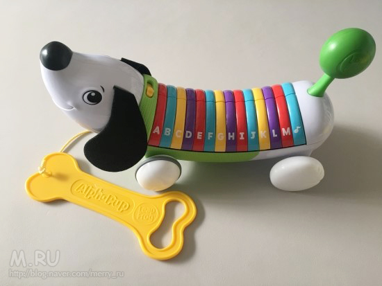 [육아템] 립프로그 알파벳 퍼피 (강아지장난감)