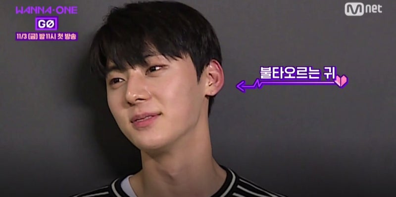 워너원 황민현 워너원고 제주안오니