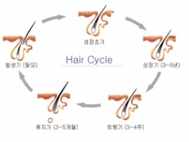  해운대한의원 탈모와 농사