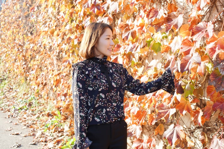  가을 하객룩/웨딩게스트룩, 블라우스 쇼핑몰 허니데이에서
