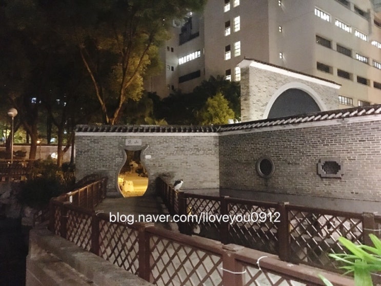 한밤의 산책~ 한밤의 산책~
