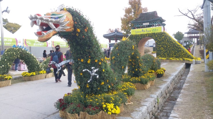  충남 홍성여행 홍성국화축제 제16회 홍성사랑국화축제  농업축전