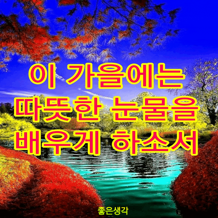  이 가을에는 따뜻한 눈물을 배우게 하소서