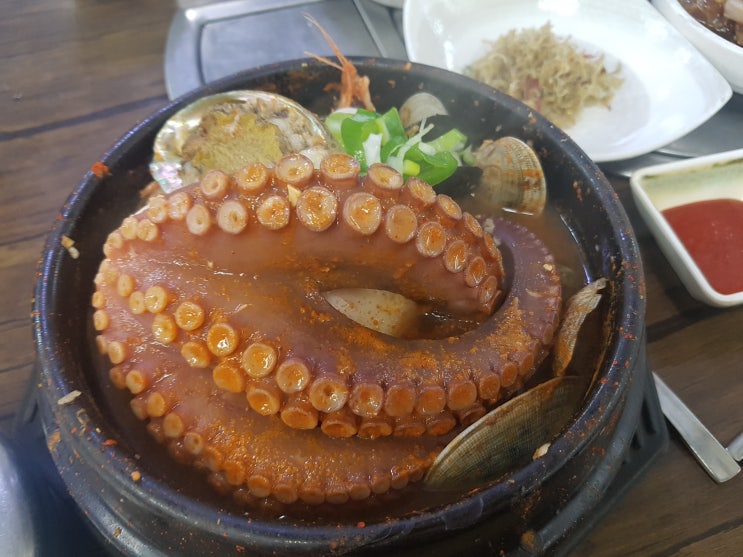 제주도공항근처맛집 문어해물뚝배기 청도