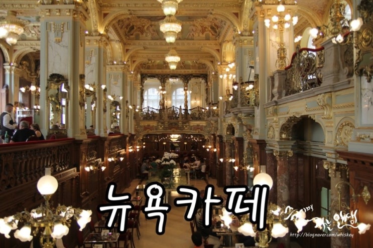  [동유럽 렌트카 자유여행] 24. 헝가리 부다페스트 맛집 뉴욕카페