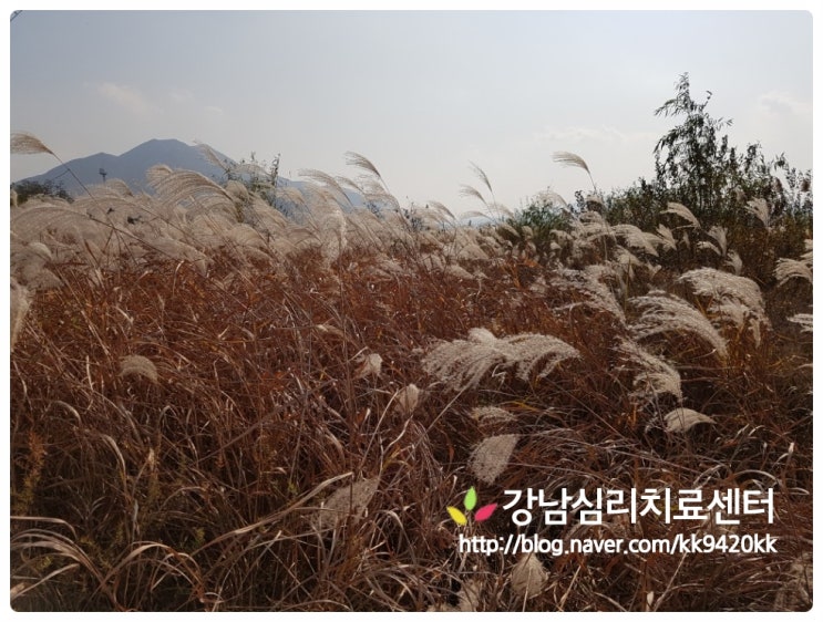 [가을 풍경사진] 경기도 팔당 온누리 장작구이 근처 한강변~