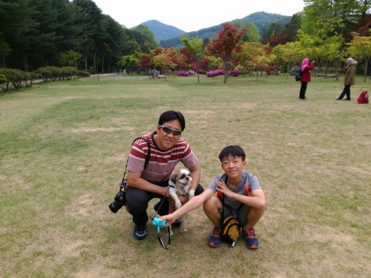  유기견을 데려와서 키우고 계신 분 계신가요? 요새 근황 보여주세요.