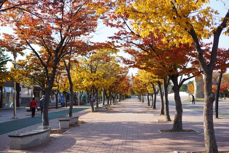  올림픽공원에서 가을 나들이하기!