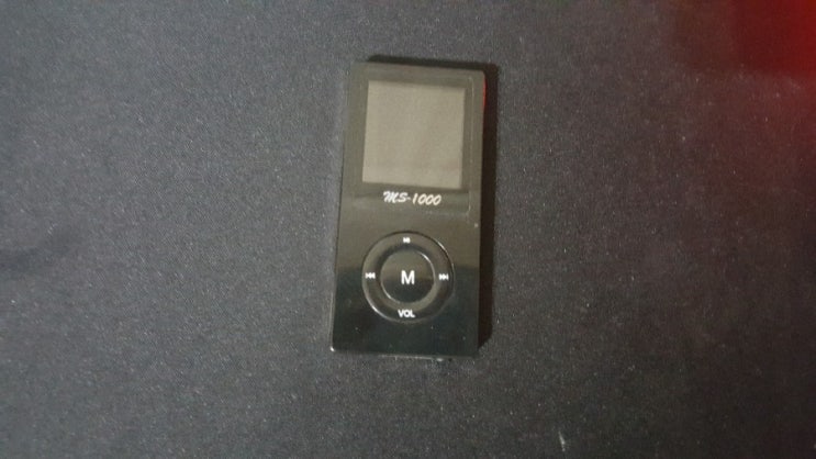 MP4 player) MS-1000