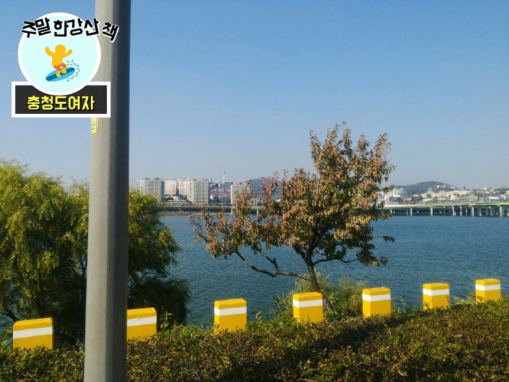  주말맑은날씨 혼자 잠실공원 한강산책