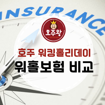  호주워홀보험 - 어시스트카드 (타 보험사 비교)