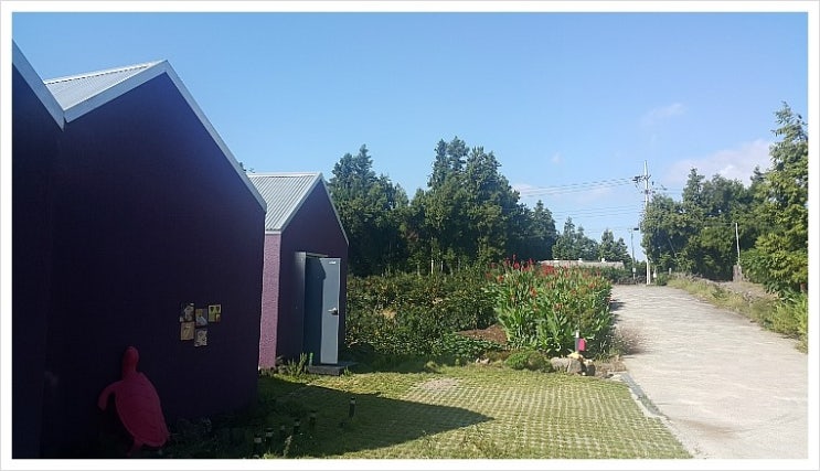  제주도 중문 게스트하우스 마음 편히 머물 수 있어서 좋아요