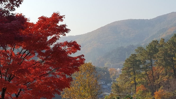  삶의여유,안양병목안 가을단풍구경 최고 절정
