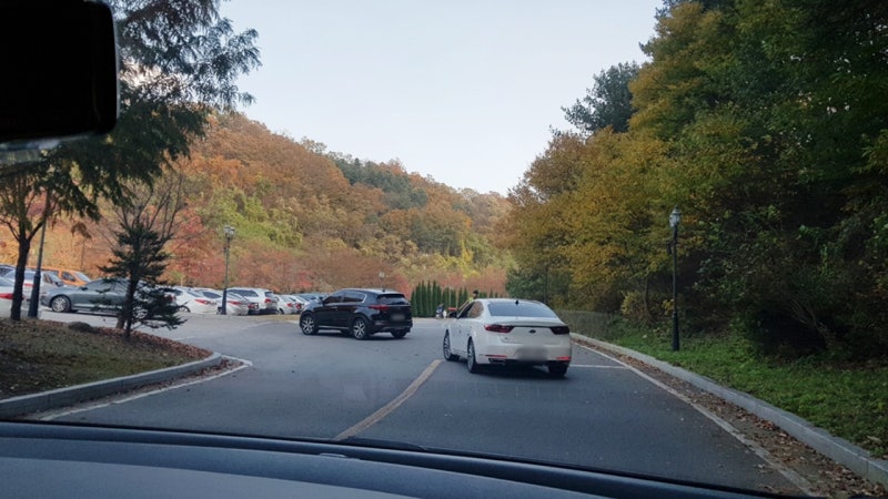 DB손해보험 참 좋은 운전자보험이 필요한 이유