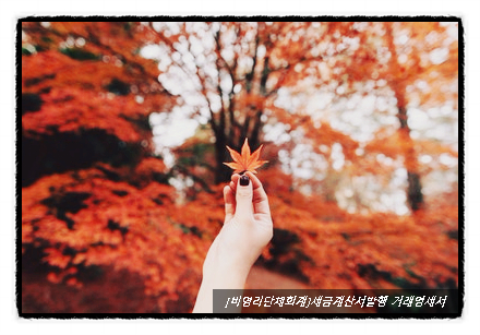  [비영리단체회계]월회비 등에 대한 세금계산서발행과 거래명세서[비영리회계]