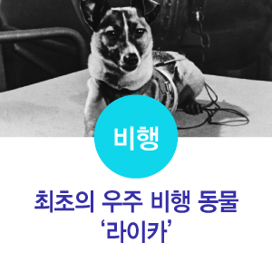  [우주상식] 최초의 우주 비행 동물 ‘라이카’