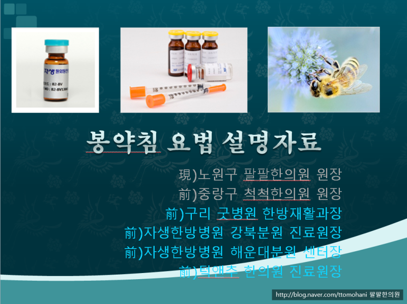 [봉침 봉약침] 성분효능 부작용정리 위례북위례한의원