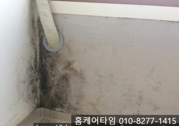 인천/일산/부평 벽지 곰팡이 제거 및 단열벽지 시공 방법
