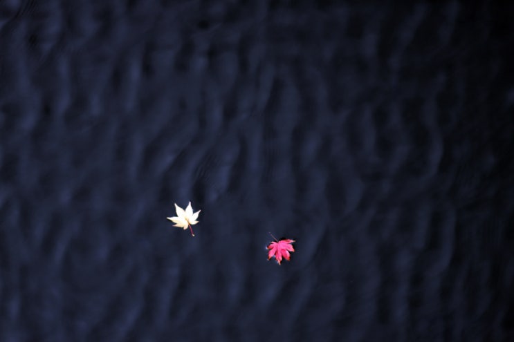  삶에 대하여