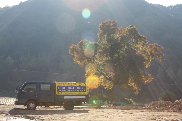  일하는 조이컴2