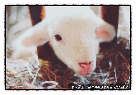  [종교법인세무]고유목적사업준비금 회계처리대상 종교단체[사단법인,재단법인,지정기부금단체]